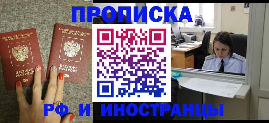 прописка законно в Купино